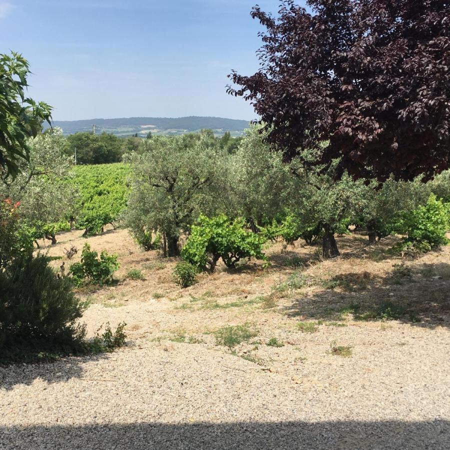 Mas Du Prescondu Villa Mirabel-aux-Baronnies Buitenkant foto